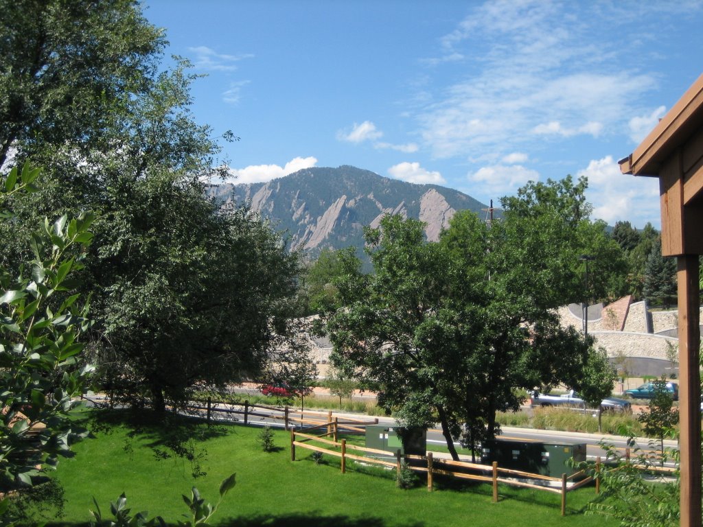Flat Irons