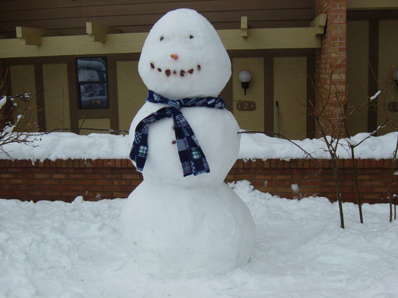 Snowman 3-19-03 - Snowman