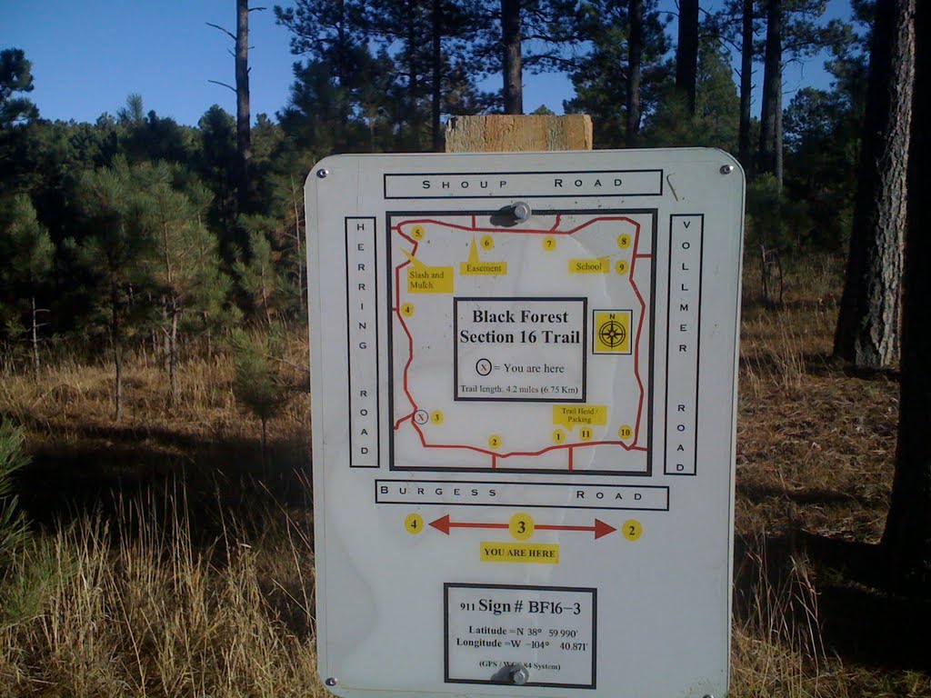 Black Forest, Colorado - Section 16 Trail