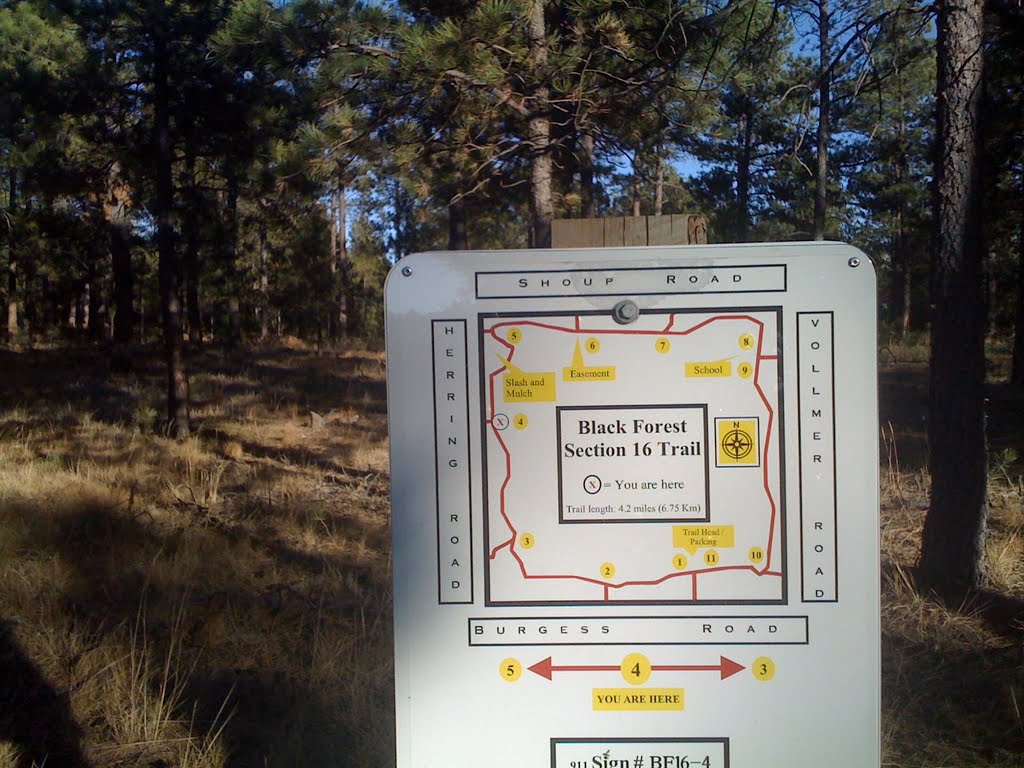 Black Forest, Colorado - Section 16 Trail