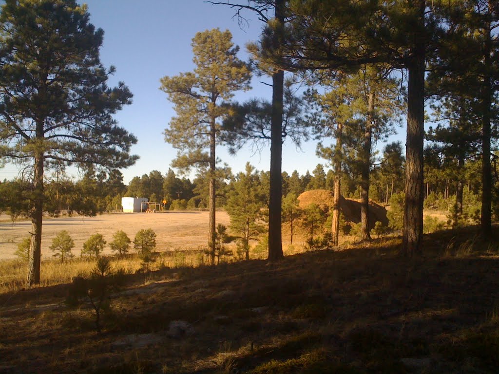 Black Forest, Colorado - Section 16 Trail - Timber Recycling Center
