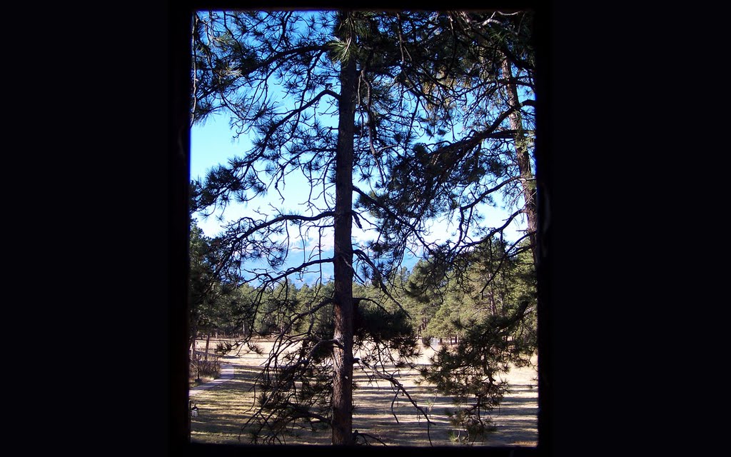 Pikes Peak from Ponderosa Lodge