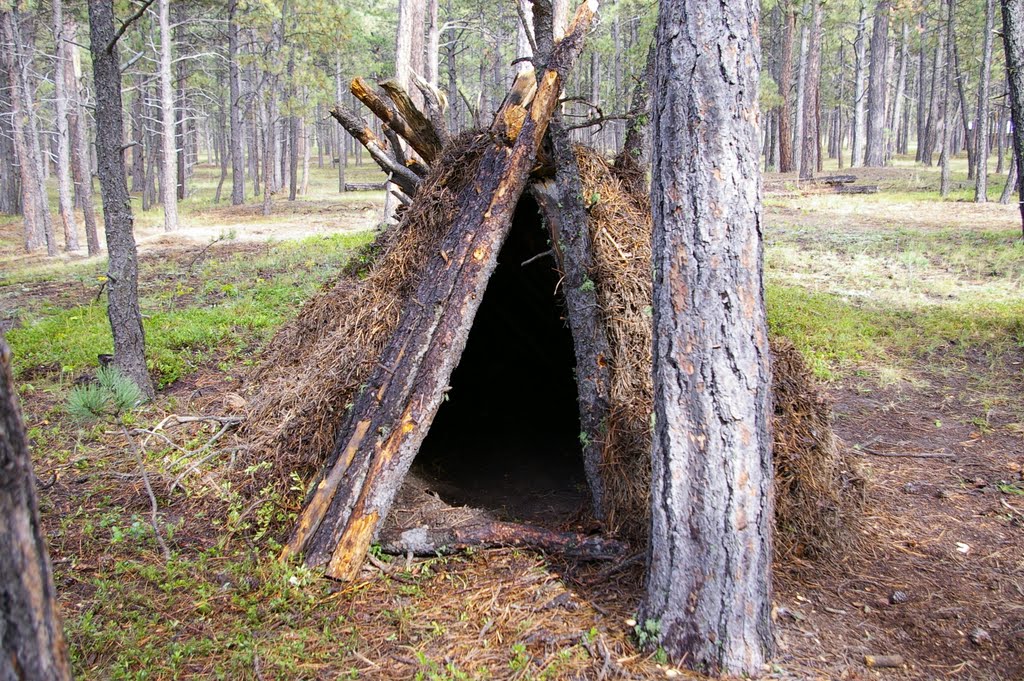 Marks Field Shelter