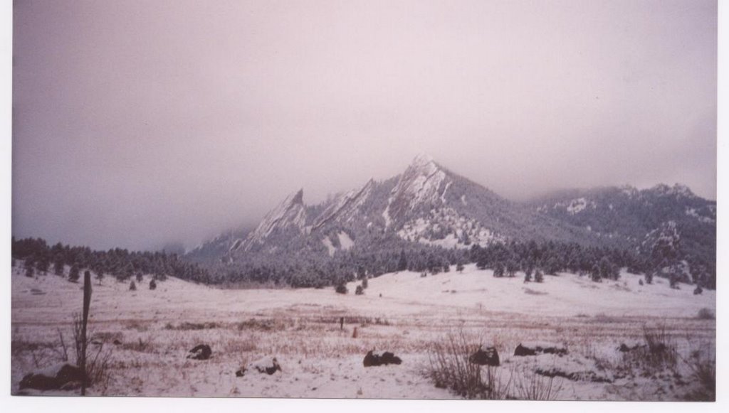 Flat Irons in Snow