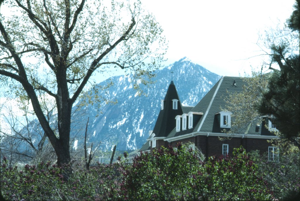 Mountain scene in Boulder, CO