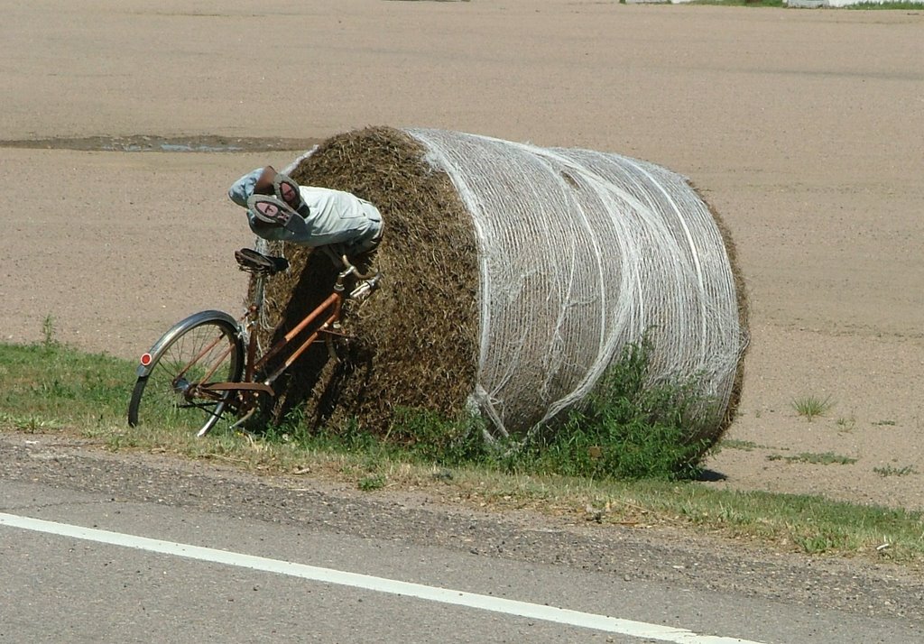 Roadside Humour
