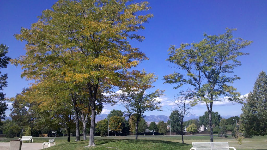 Squires Park