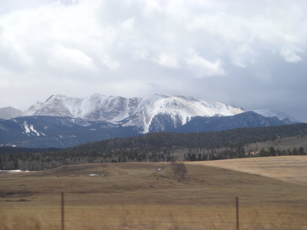 nature in colorado