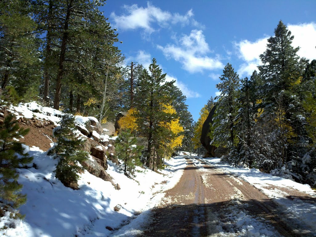 First Snow in Bergen Park