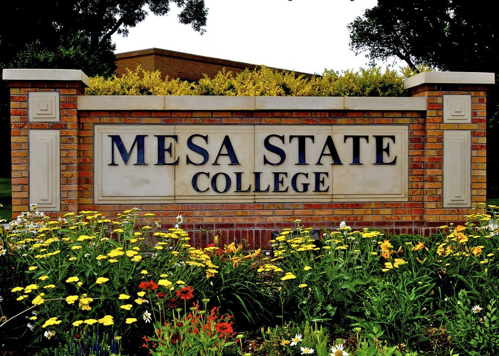 Mesa State College