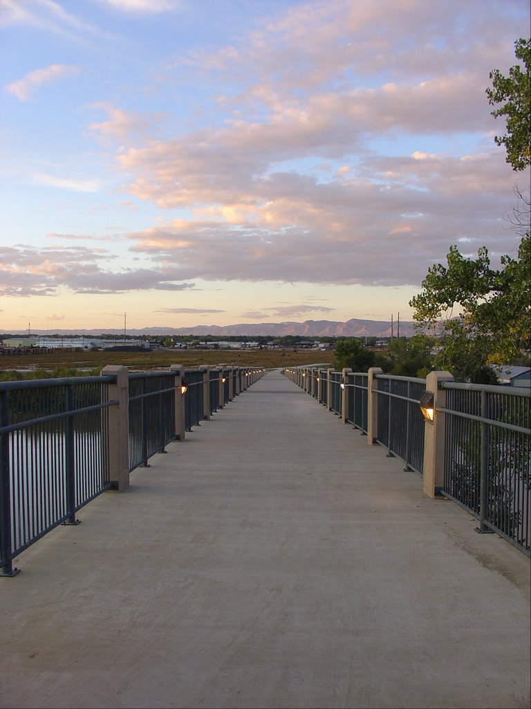 Pedestrian Bridge over the Colorado River