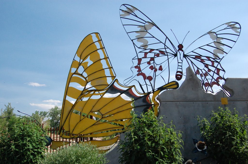 allorto botanico