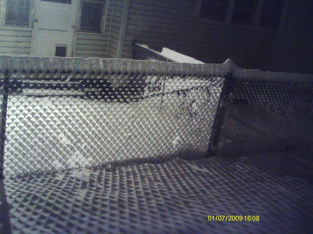 Soft snowfall and shadows   Dec. 2009