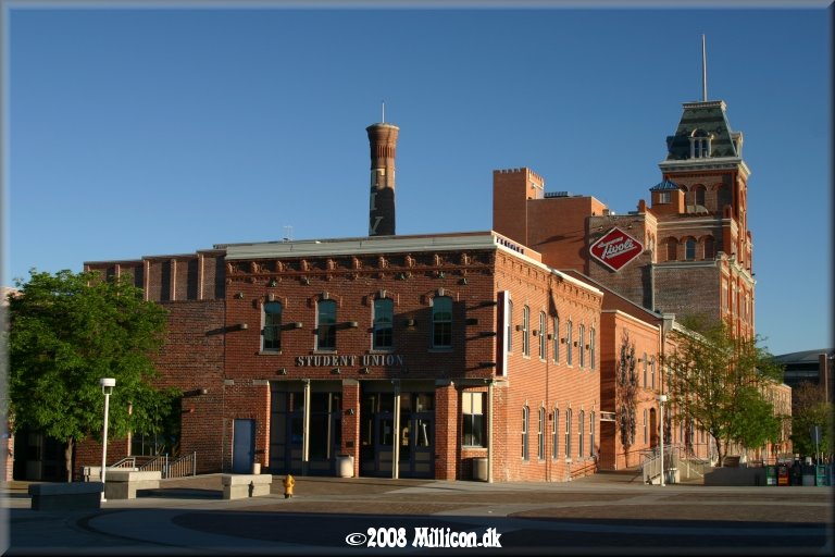 Tivoli Student Union