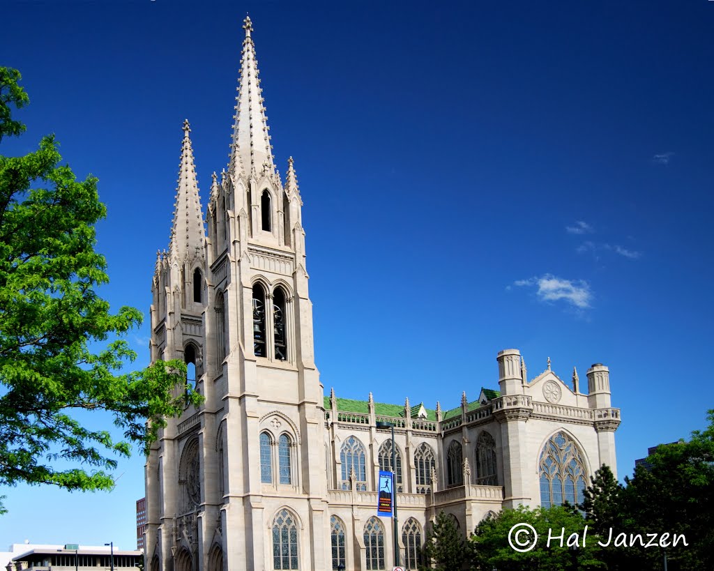 The Cathedral Basilica of the Immaculate Conception