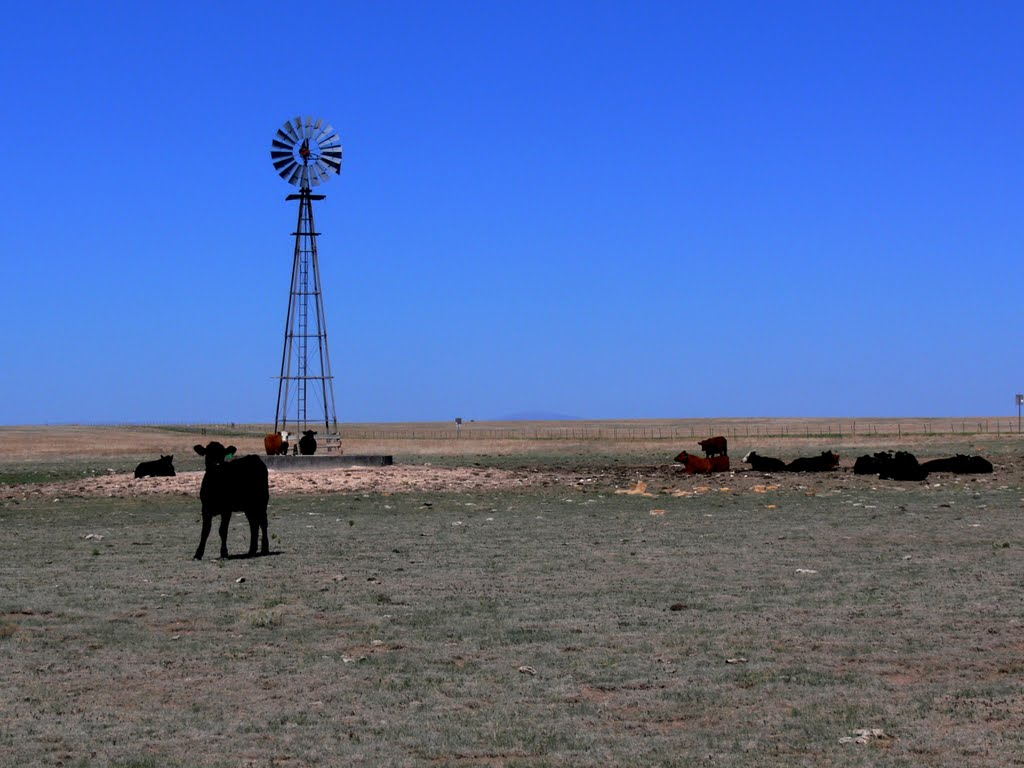 Corner State Route 455 and Lake Road, Clayton, New Mexico