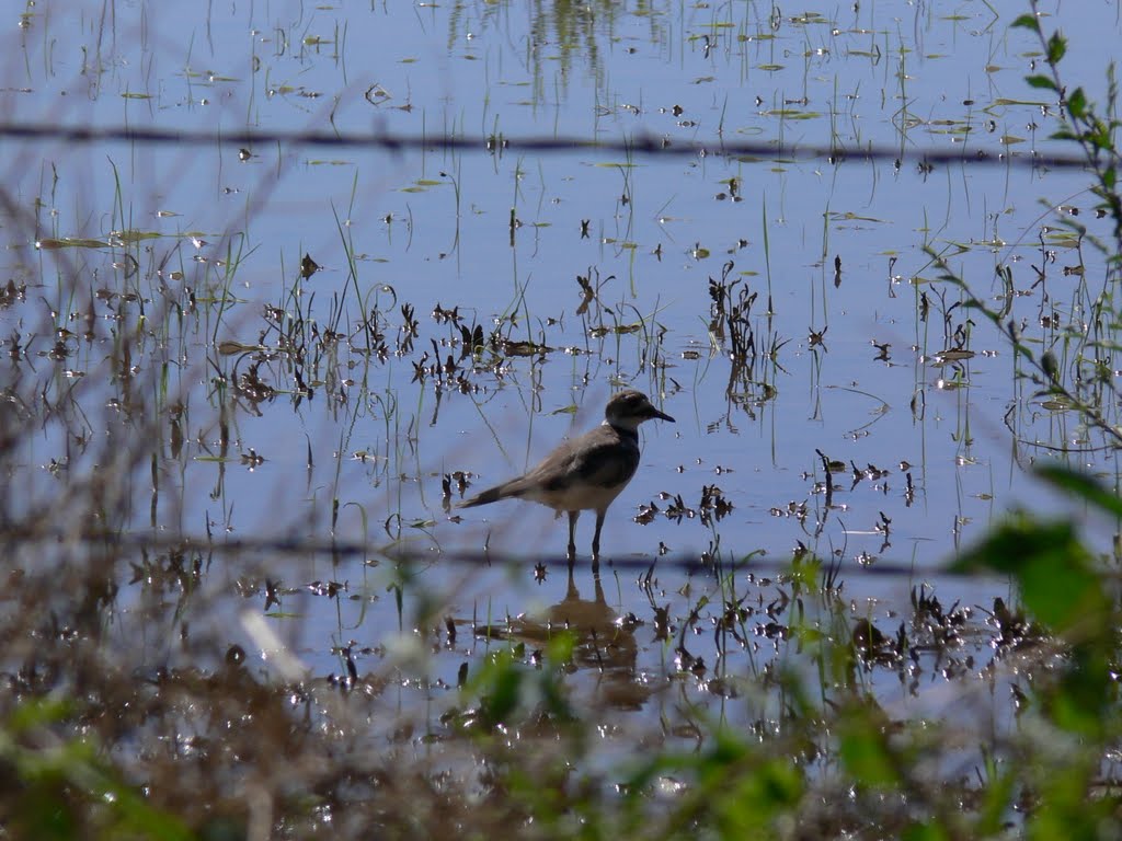 Maxwell National Wildlife Refuge, New Mexico