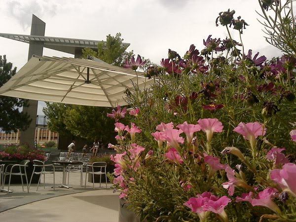 Belmar Flowers & Mod Umbrella
