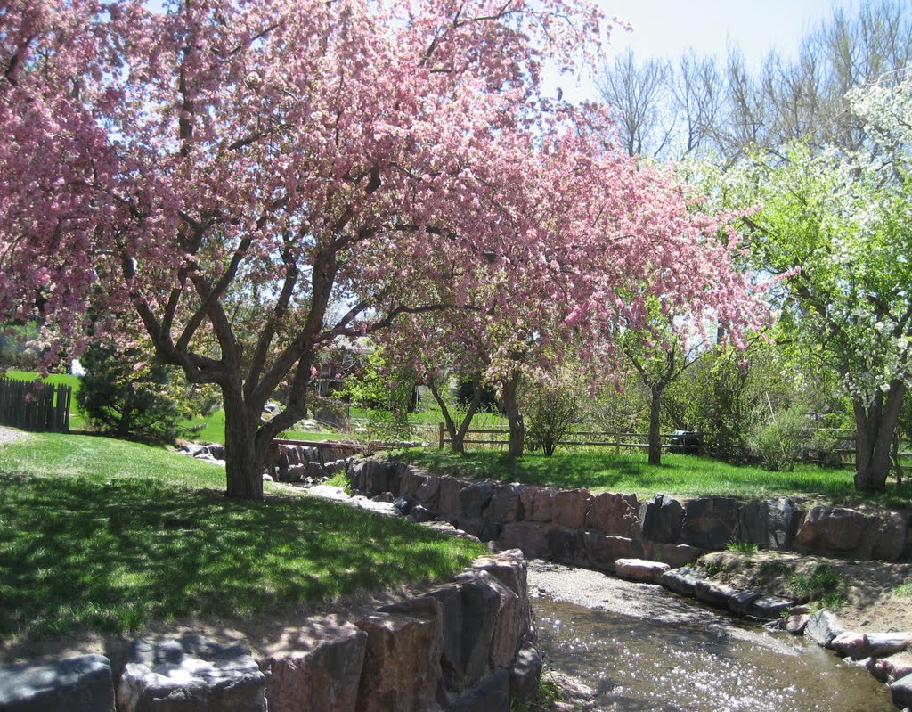spring & stream beauty