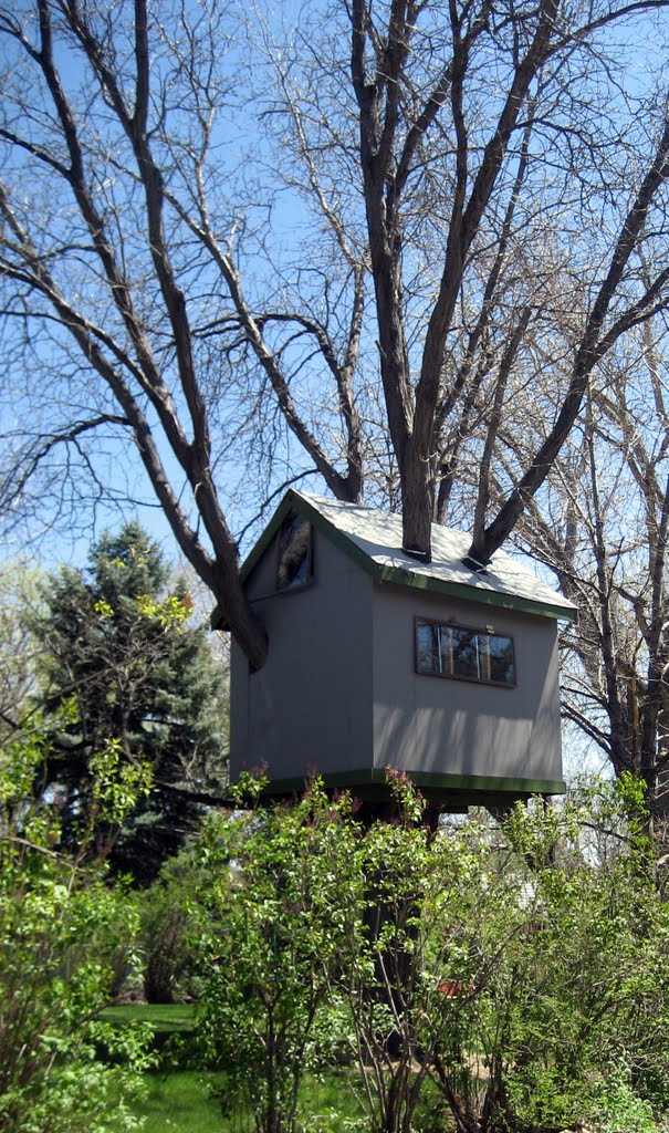 a fun treehouse