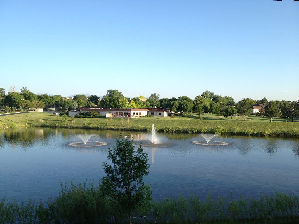 Lake During Day