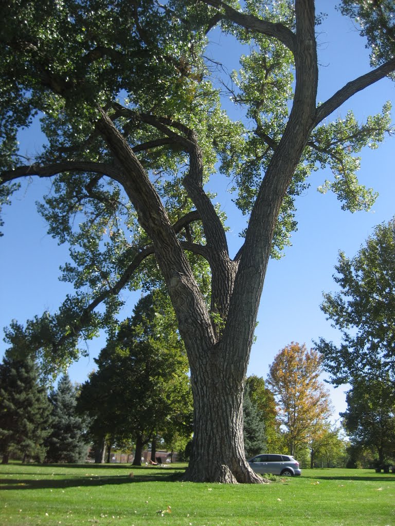 Berkeley park