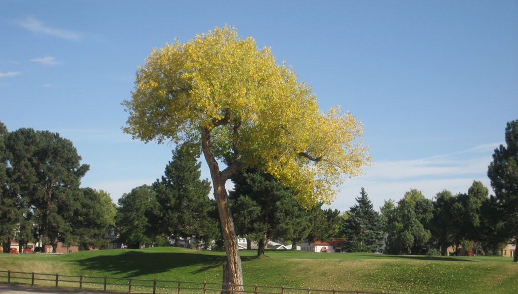 public golf course