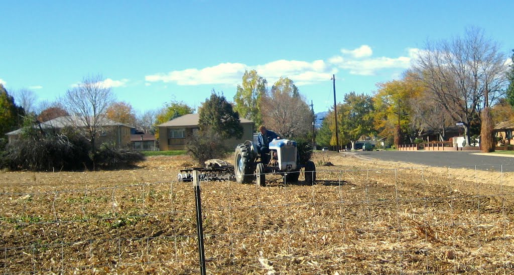 suburban farm