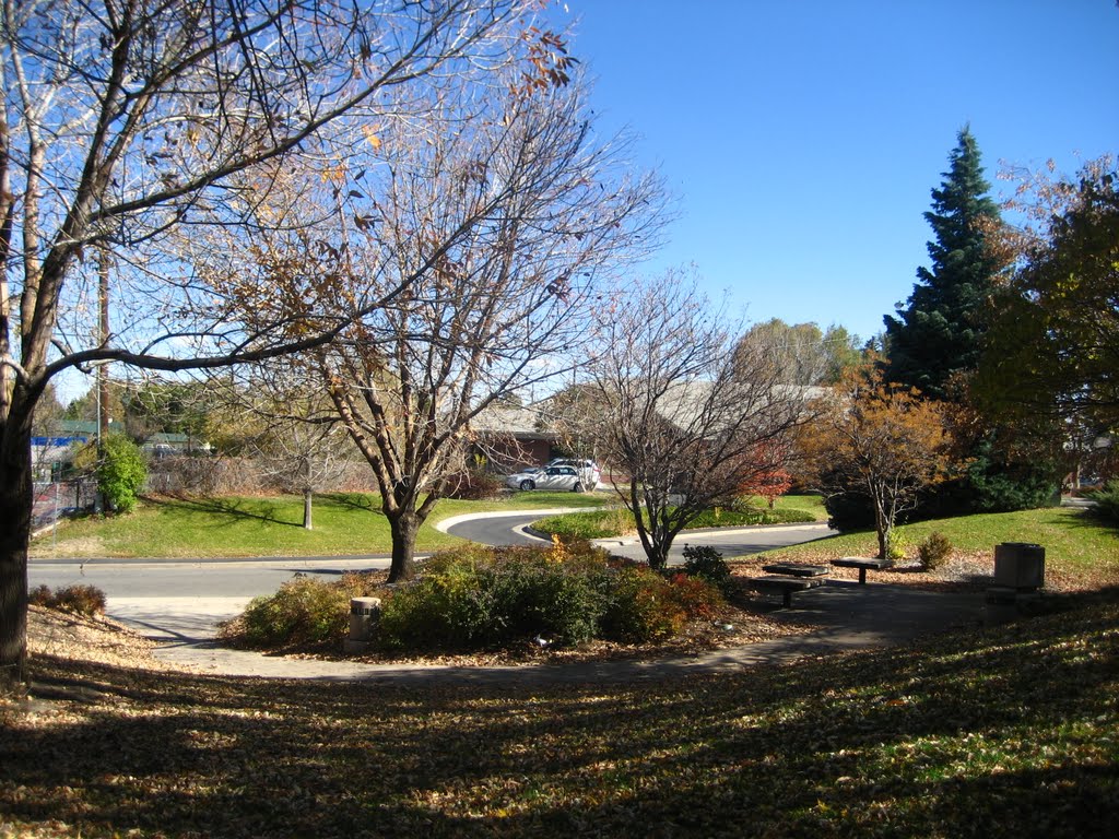 early November 2010