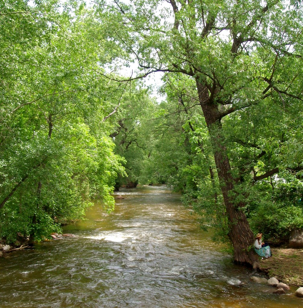 Boulder Creek, Colorado