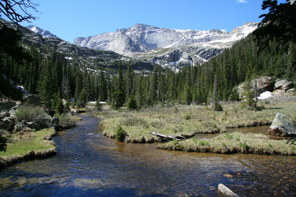 Meadow in Glacier Gorge just past the avalanche path