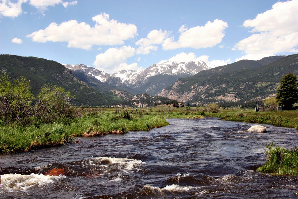 Rocky Mountain Summer