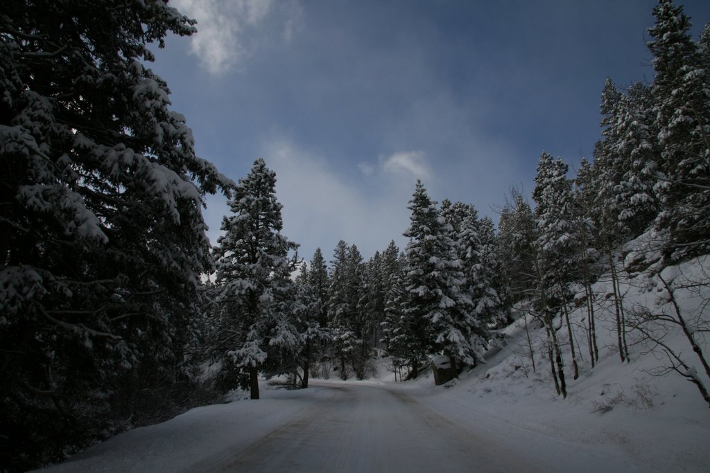 On the road up to Bear Lake