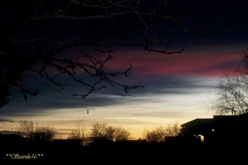 "Tempo diping anche**Time also  paints*El tiempo también Pinta"(Fco. de Goya),Thornton,Co.,USA