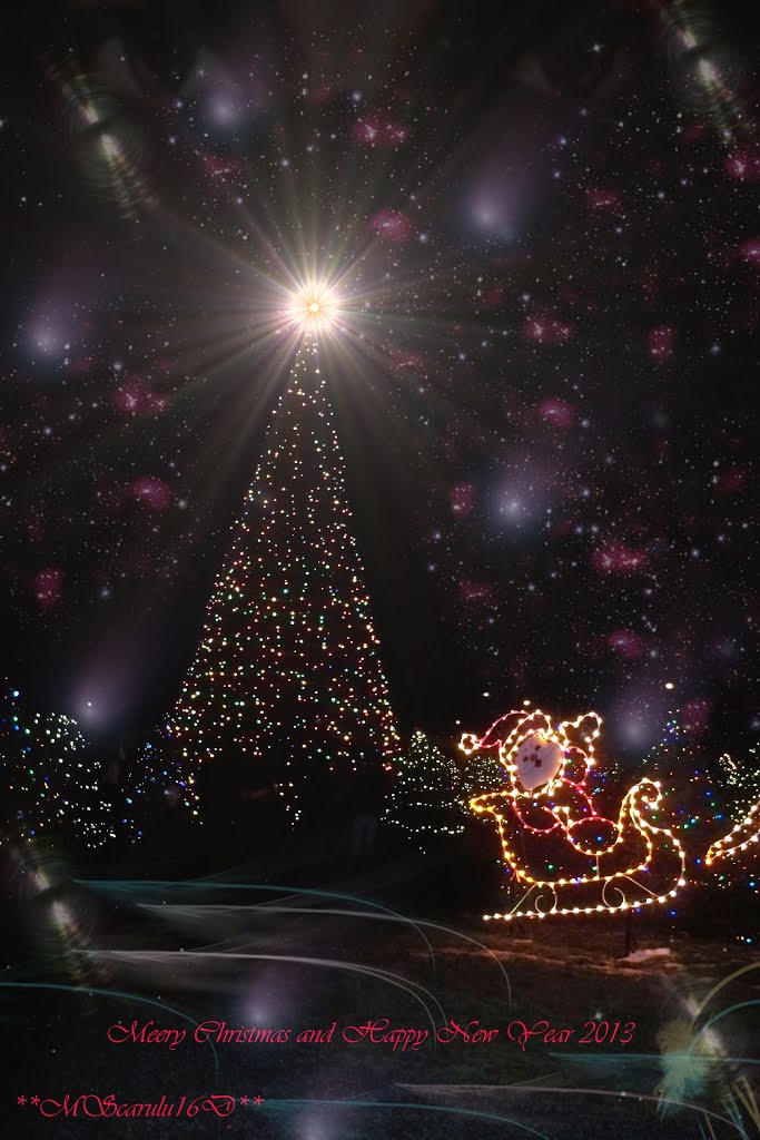 "Que la luz ilumine  nuestros corazones siempre...Paz en la Tierra a los hombres de buena voluntad ..por un Mundo mejor...!!.Let the light shine illuminate our hearts forever ... Peace on earth to men of good will .. for a better world ...!