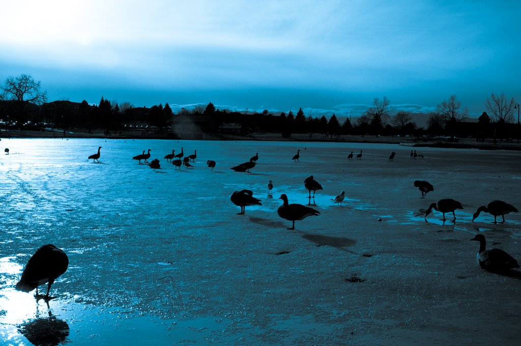 Winter in the Park