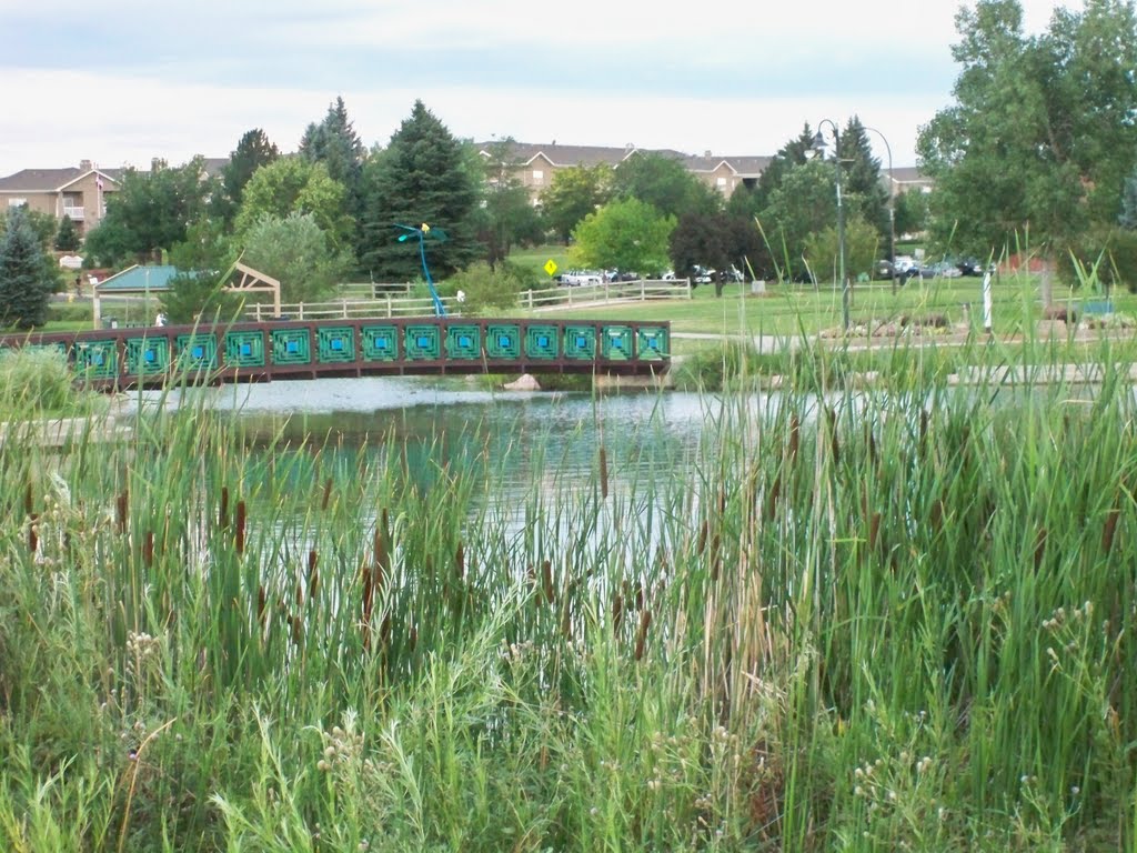 Bridge and rushes,Colorado,USA