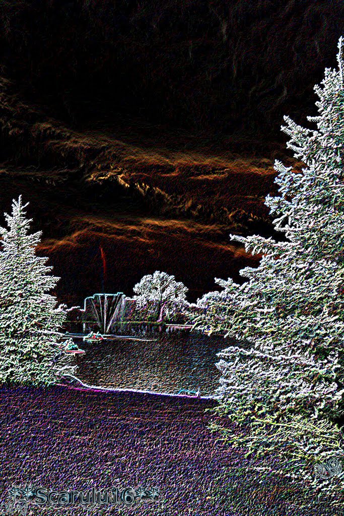 "Una càmara fotogràfica mejor no harà nada si no tienes la idea en tu cabeza y en tu Corazòn*A camera better not do anything,but you get the idea in your heat and your heart"(Arnold Newman),Northglenn,Co,USA