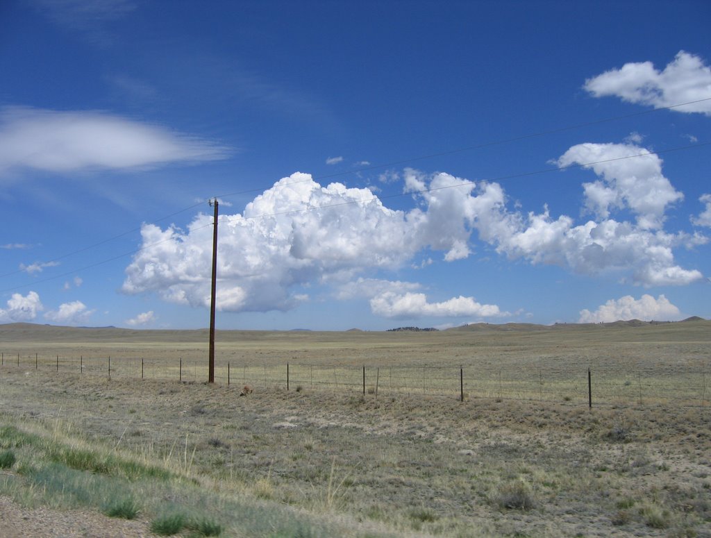 Colorado Spaces