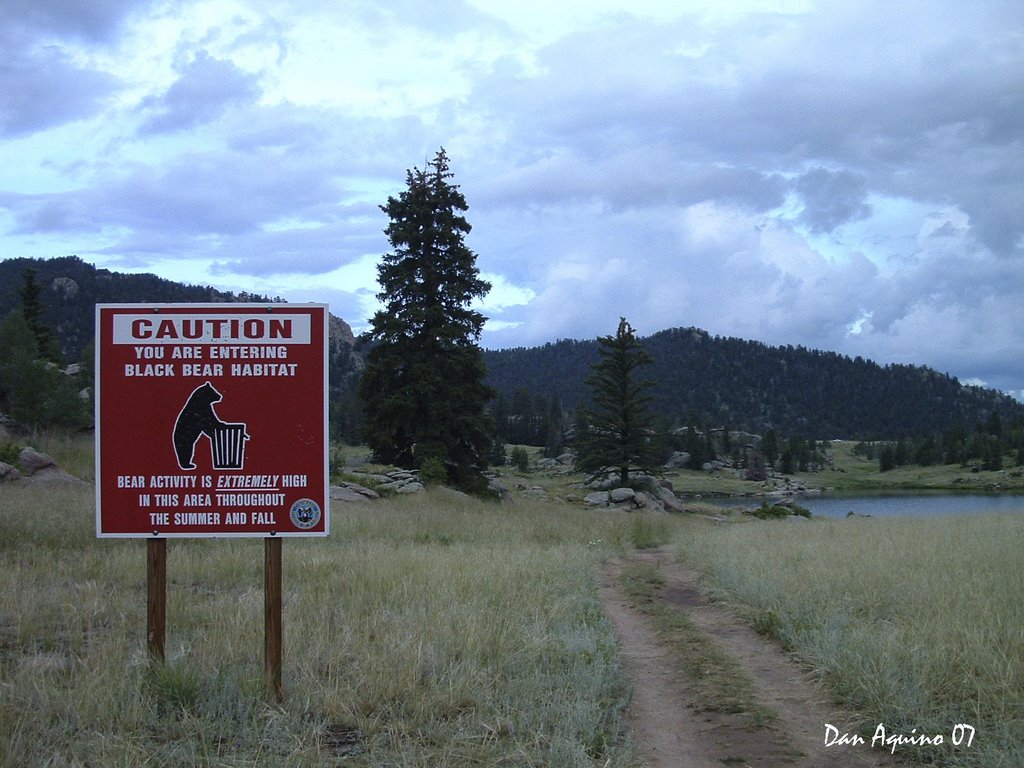 Black Bear Habitat