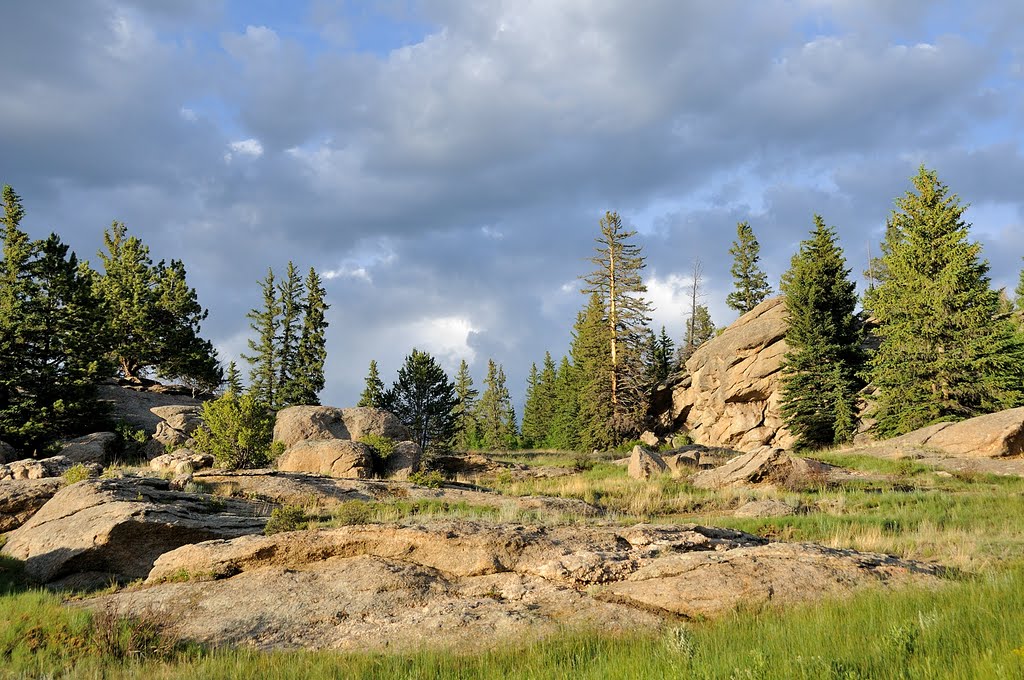 Eleven Mile Reservoir, Lake George Colorado