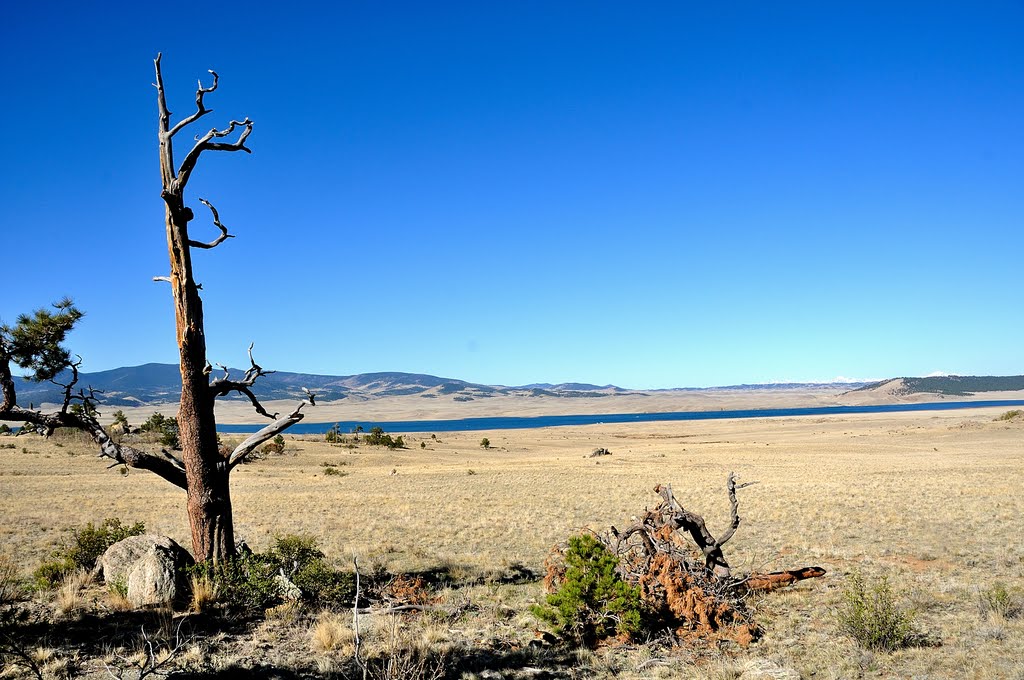 Eleven Mile Reservoir