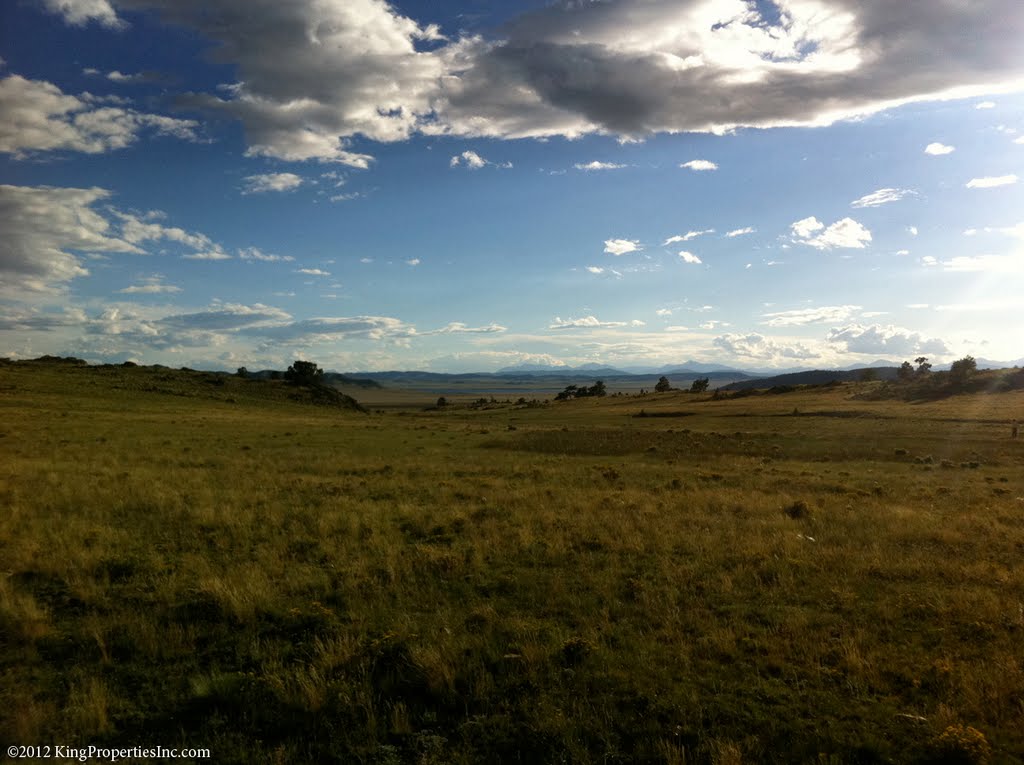 Sunny 5 Acre property slopes to the south