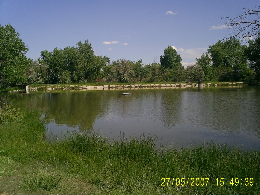 LAGO