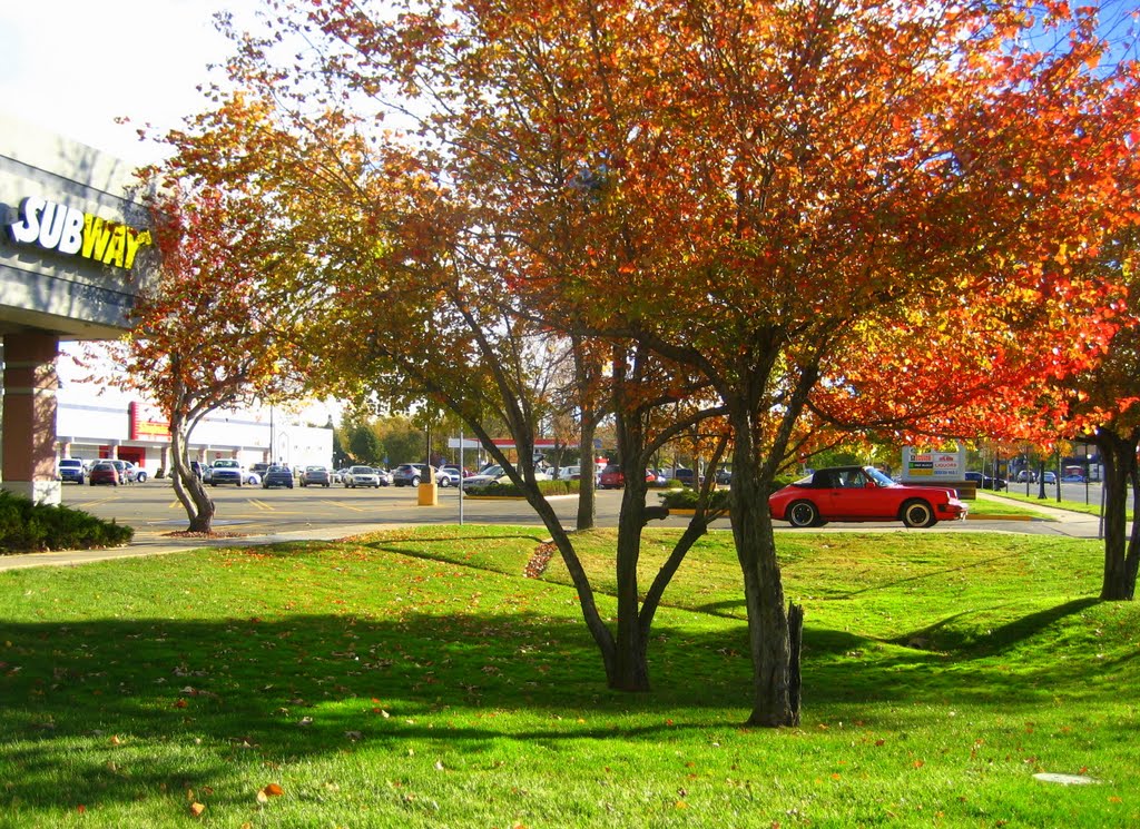 late October 2010