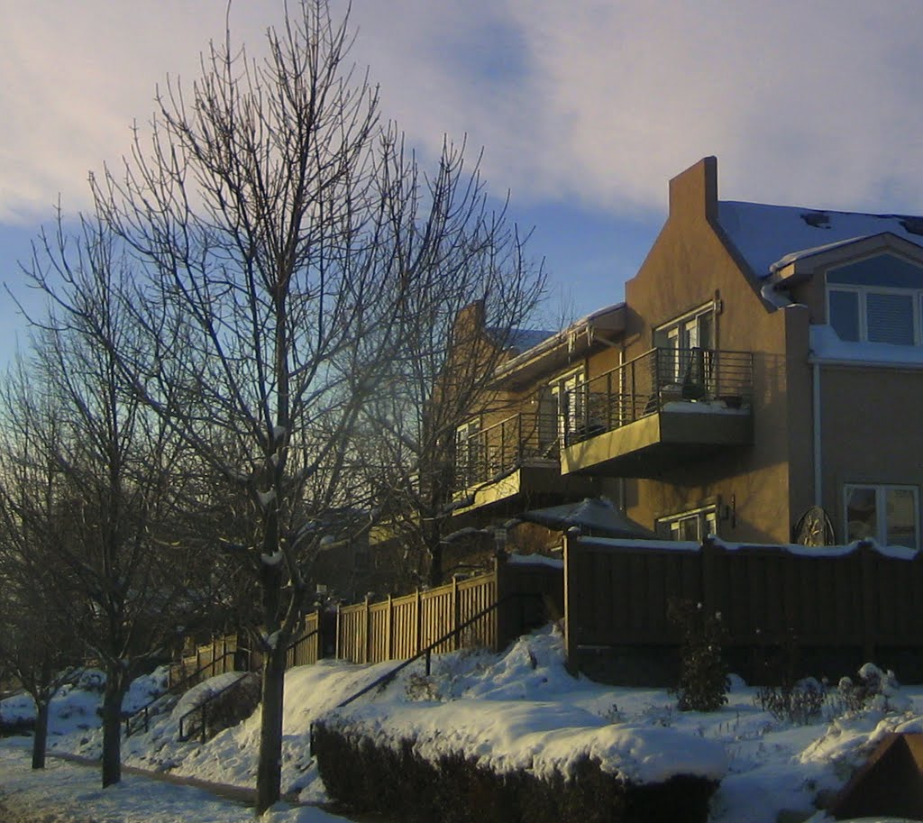 winter afternoon