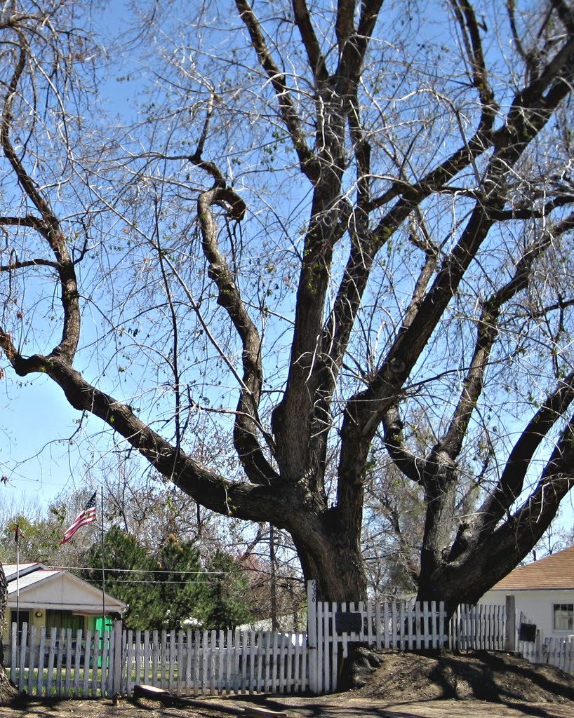 white picket fence