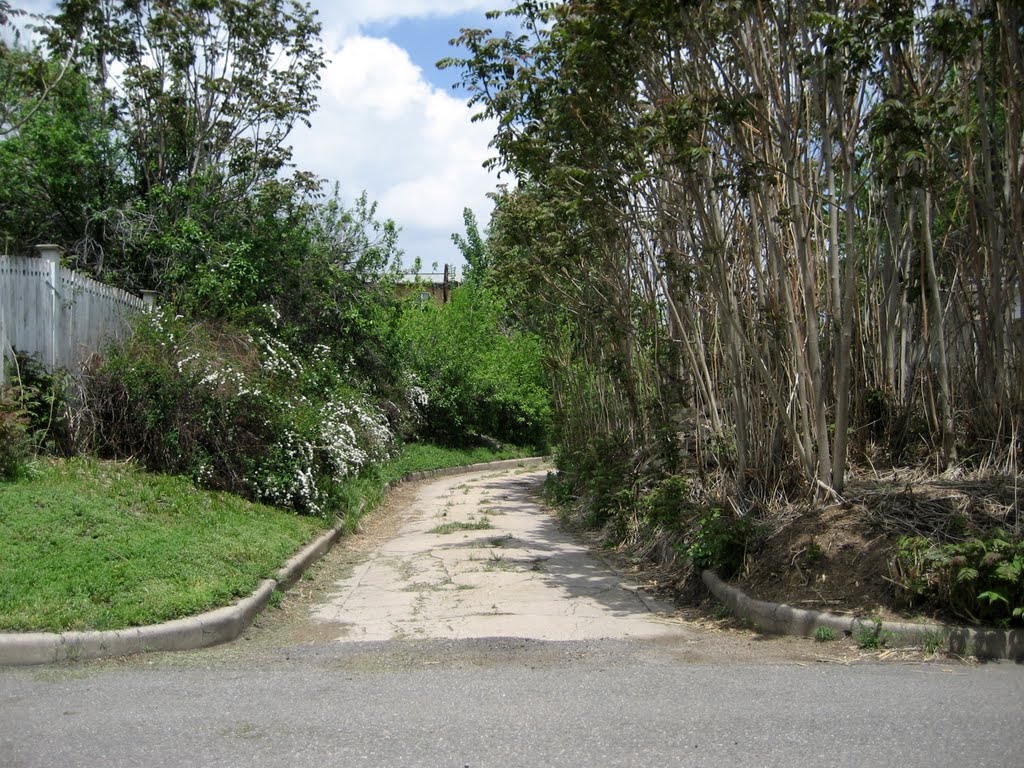 old victorian estate lane