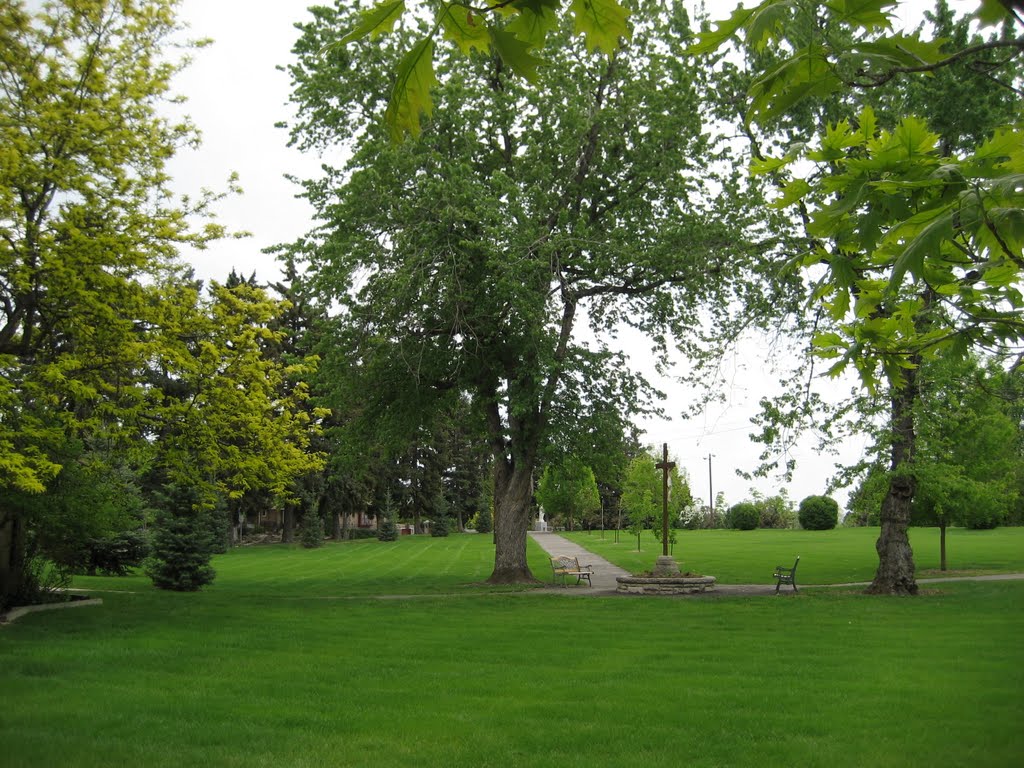 on the grounds of the Little Sisters of the Poor