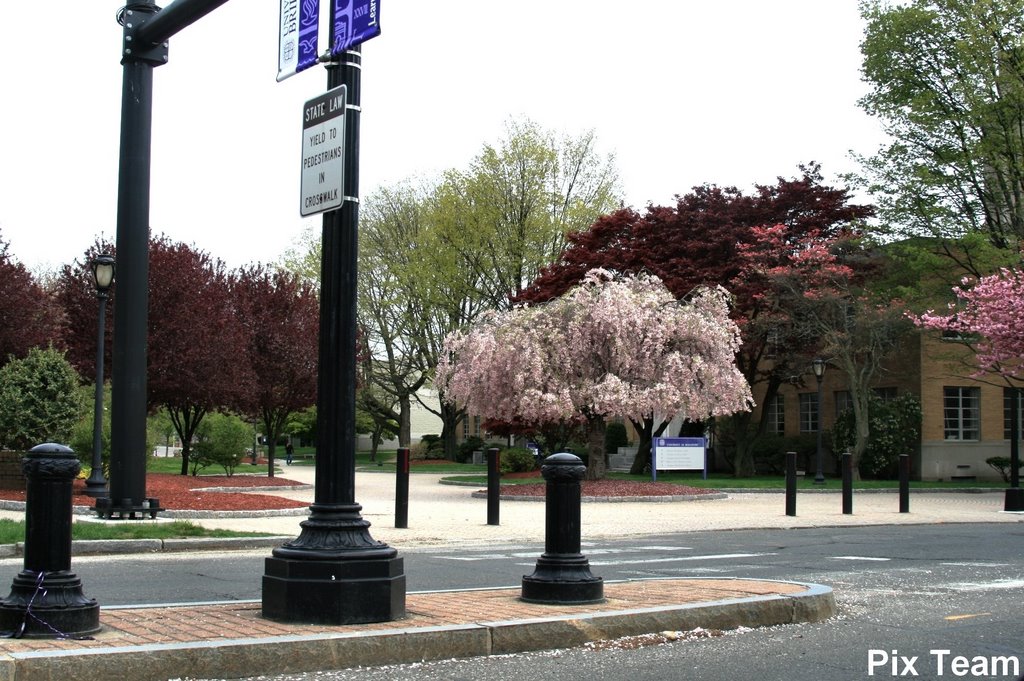 Park Ave - Mandeville Hall - Walkway- University of Bridgeport